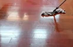 辦公區(qū)域保潔要注意哪些方面呢？