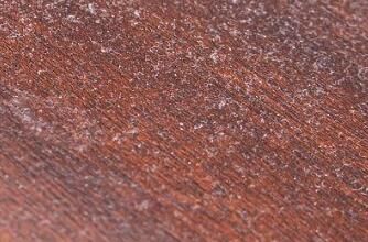 對于家里灰塵的清理，有什么方法嗎？