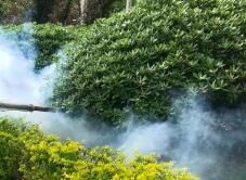 四害消殺完成后，需要做哪些鞏固工作呢？